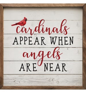 Cardinals Appear Whitewash